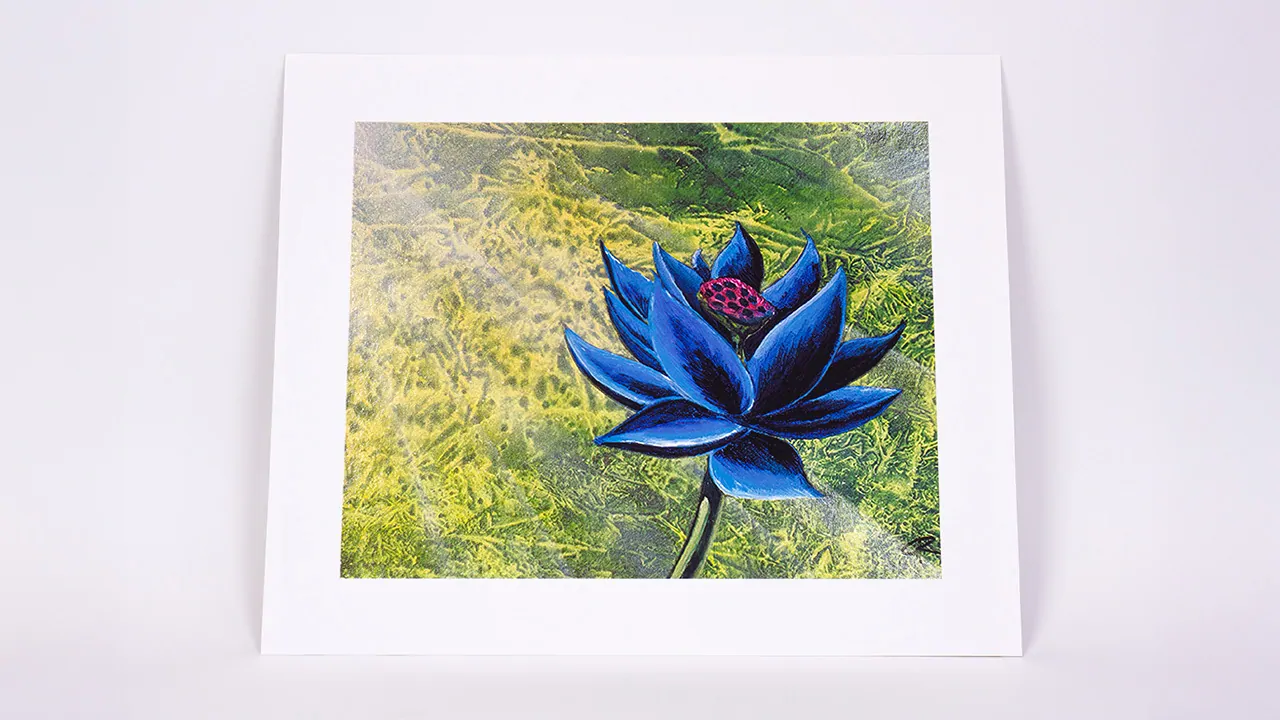 Black Lotus from Cook and Becker