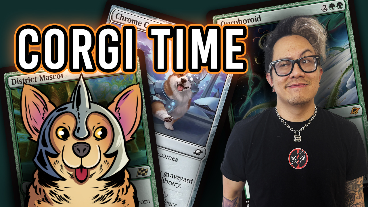 Image for Single Scoop: Artifacts & ViVi vs A Corgi